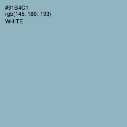 #91B4C1 - Rock Blue Color Image