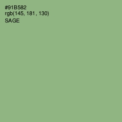 #91B582 - Sage Color Image