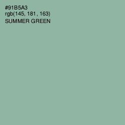 #91B5A3 - Summer Green Color Image
