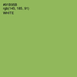 #91B95B - Chelsea Cucumber Color Image