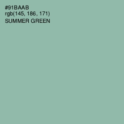 #91BAAB - Summer Green Color Image