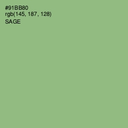 #91BB80 - Sage Color Image