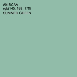 #91BCAA - Summer Green Color Image