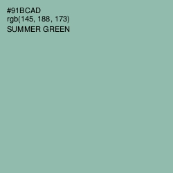 #91BCAD - Summer Green Color Image