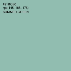 #91BCB0 - Summer Green Color Image