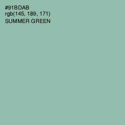 #91BDAB - Summer Green Color Image