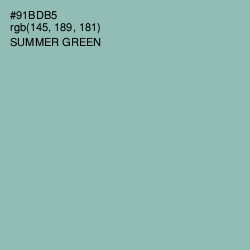#91BDB5 - Summer Green Color Image
