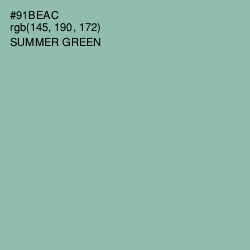 #91BEAC - Summer Green Color Image