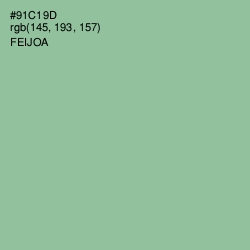#91C19D - Feijoa Color Image