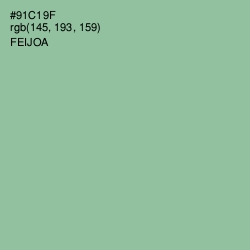 #91C19F - Feijoa Color Image