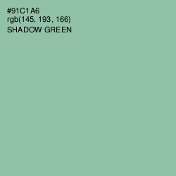 #91C1A6 - Shadow Green Color Image