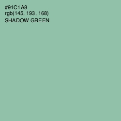 #91C1A8 - Shadow Green Color Image