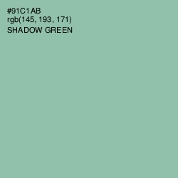 #91C1AB - Shadow Green Color Image