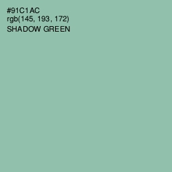 #91C1AC - Shadow Green Color Image