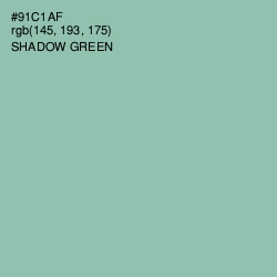 #91C1AF - Shadow Green Color Image