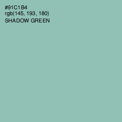 #91C1B4 - Shadow Green Color Image