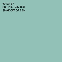 #91C1B7 - Shadow Green Color Image