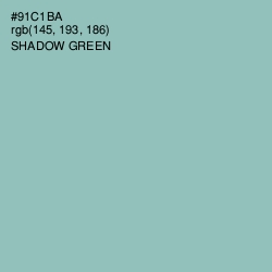 #91C1BA - Shadow Green Color Image