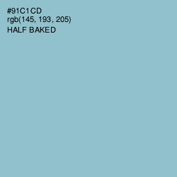 #91C1CD - Half Baked Color Image