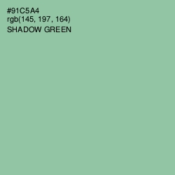 #91C5A4 - Shadow Green Color Image