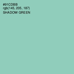 #91CDBB - Shadow Green Color Image