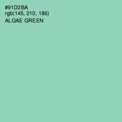 #91D2BA - Algae Green Color Image