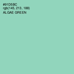 #91D5BC - Algae Green Color Image