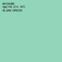 #91D6BB - Algae Green Color Image