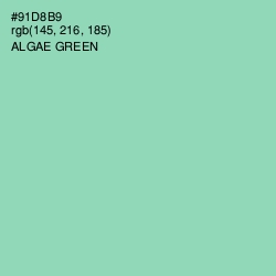 #91D8B9 - Algae Green Color Image