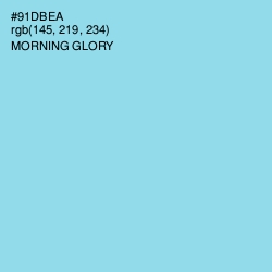 #91DBEA - Morning Glory Color Image