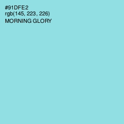 #91DFE2 - Morning Glory Color Image