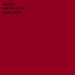 #920021 - Burgundy Color Image