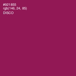 #921855 - Disco Color Image
