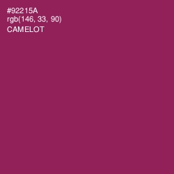 #92215A - Camelot Color Image