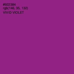 #922384 - Vivid Violet Color Image