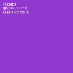 #9238D3 - Electric Violet Color Image