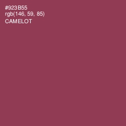 #923B55 - Camelot Color Image