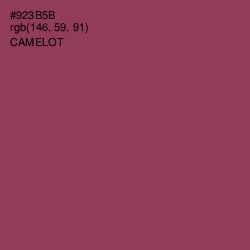 #923B5B - Camelot Color Image