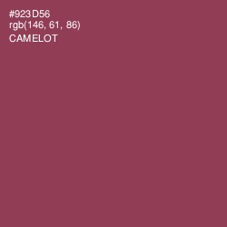 #923D56 - Camelot Color Image