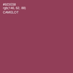 #923E58 - Camelot Color Image