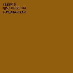 #925F10 - Hawaiian Tan Color Image