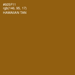 #925F11 - Hawaiian Tan Color Image