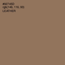 #92745D - Leather Color Image