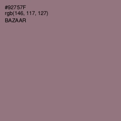 #92757F - Bazaar Color Image