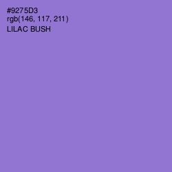 #9275D3 - Lilac Bush Color Image