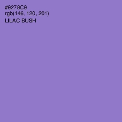#9278C9 - Lilac Bush Color Image