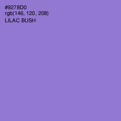 #9278D0 - Lilac Bush Color Image