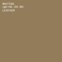 #927C5A - Leather Color Image