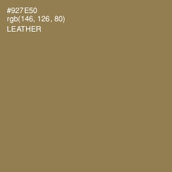 #927E50 - Leather Color Image