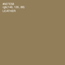 #927E58 - Leather Color Image